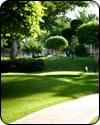 New Orleans Landscaping Contractors